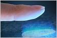 Fingerprint and Palm Print Recognition Biometrics NE